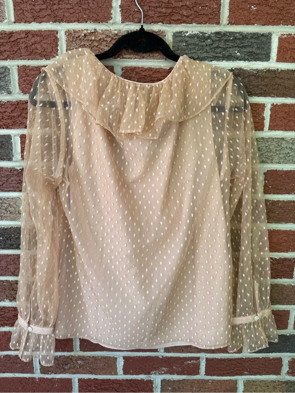 Brand New J. Crew Women's Sheer Ruffle Tie-Neck Blouse - Blush